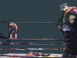 Wrestling